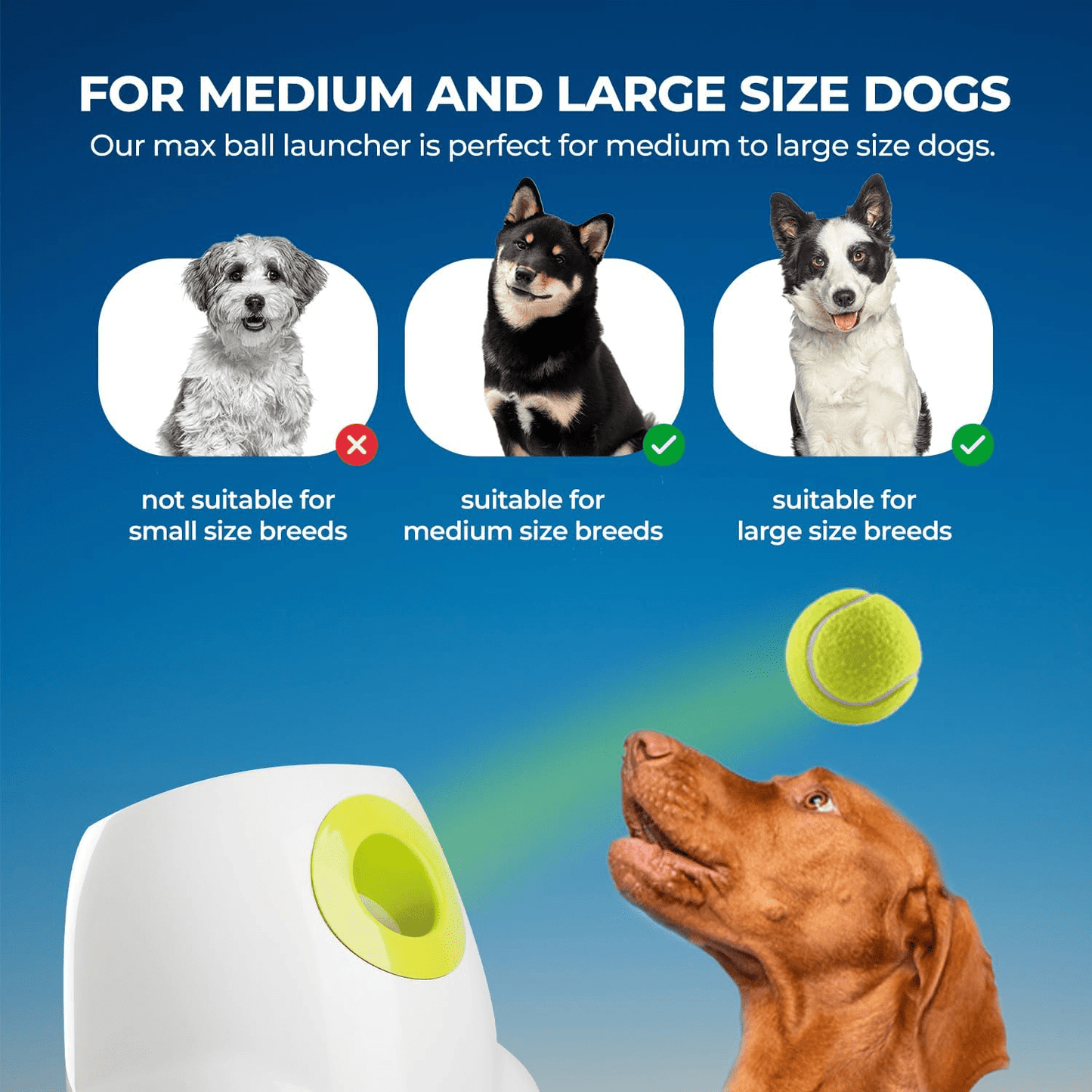 Automatic Dog Ball Launcher Interactive Thrower
