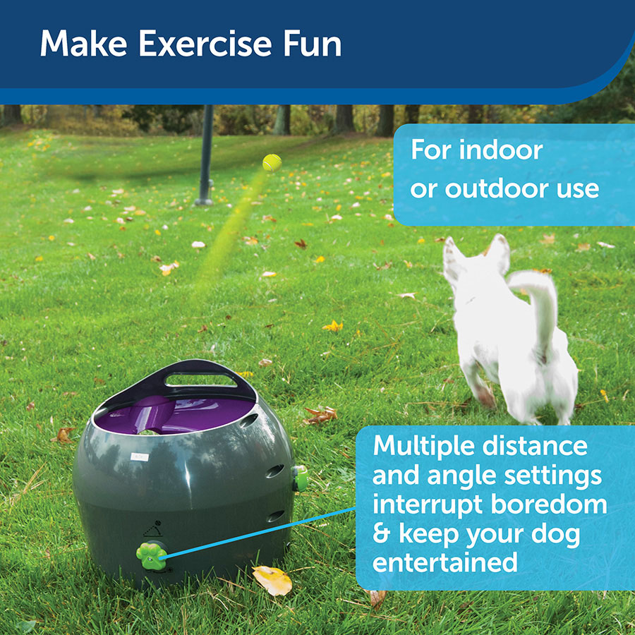 PetSafe Automatic Dog Ball Launcher