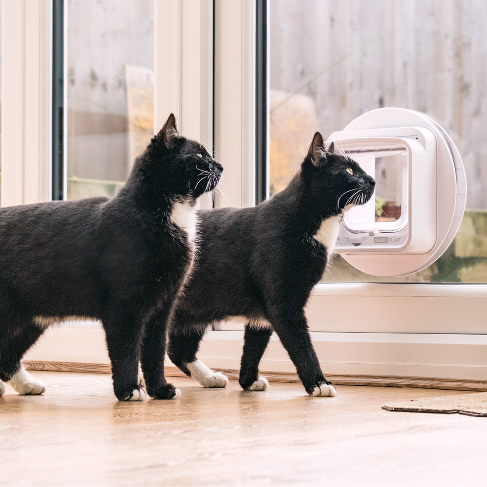 SureFlap Microchip Cat Flap Connect with Hub